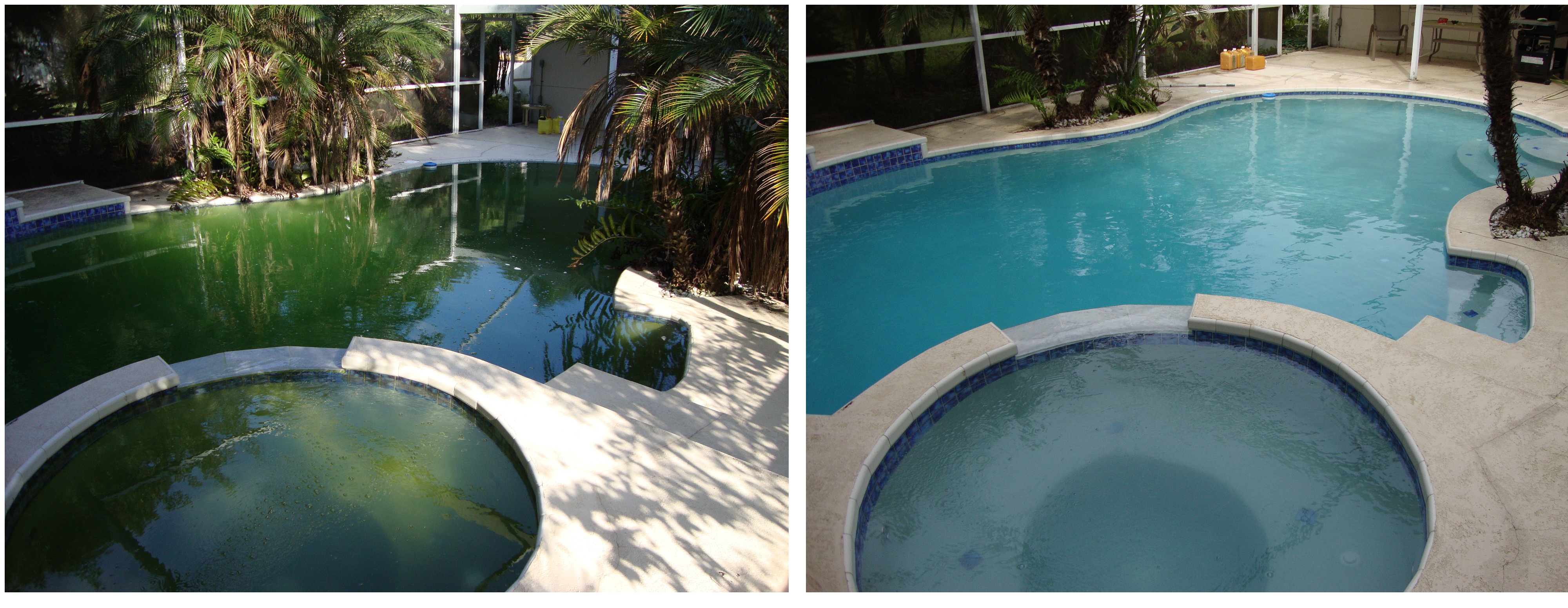 green pool clean up green pool clean up